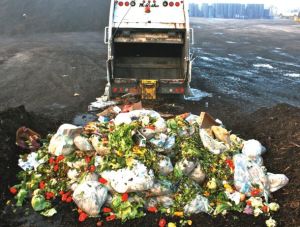 Study aims to balance "waste not, want not" equation